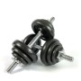 Гантельний набір 30 кг (сталь фарбована) ST30KG